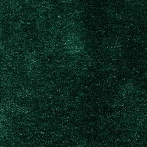 Velluto Kid Mohair Italian velvet