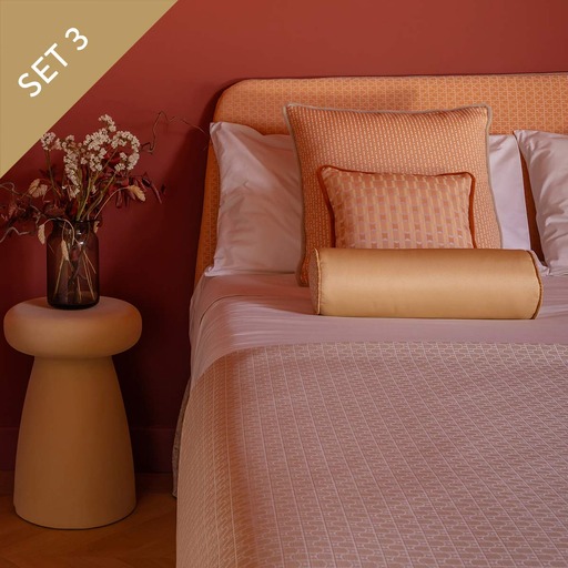 Luxurious Cushions' Set in designer fabric